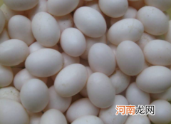 熟鸽子蛋为什么透明