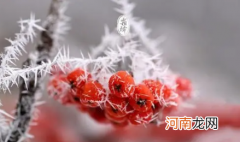 2021霜降当天会不会冷