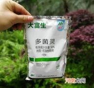 多菌灵喷多了烧叶子吗