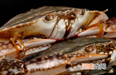 专家建议冰鲜螃蟹炒制或油炸的原因