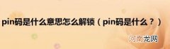 pin码是什么？ pin码是什么意思怎么解锁