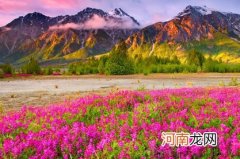 2022属虎徐姓男宝宝取名字大全 100个好听的名字