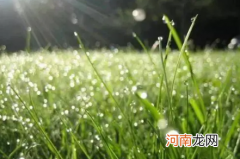 2022年清明哪里的天气好