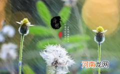 2022清明节一过是不是就热了