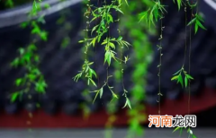 2022清明以后天气暖和了吗