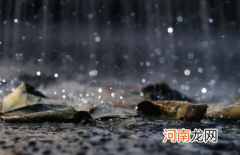 2022清明节会下雨吗
