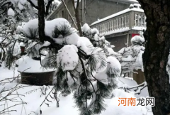 2022年除夕前后会下雪吗