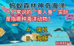 真实的美人鱼是什么动物 美人鱼是什么动物