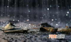 为什么现在内蒙古地区天天下雨最新