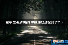 花甲怎么清洗 花甲放油吐沙全死了？