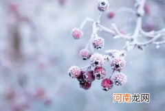 每年的冬至是固定的日子吗2021