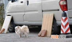 为什么车轮胎旁边放一个板子