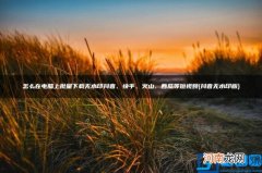 怎么在电脑上批量下载无水印抖音、快手、火山、西瓜等短视频 抖音无水印版