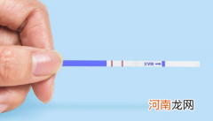 明显两条杠其实没怀孕这种几率大吗