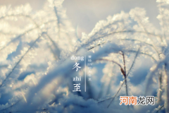 冬至什么时候开始算2022