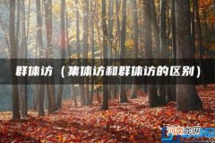 集体访和群体访的区别 群体访