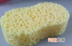 海绵50d什么意思