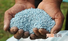 复合肥加水可以当液肥吗