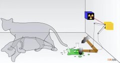 薛定谔的猫比喻什么 薛定谔的猫是什么意思