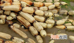 莲藕发紫是怎么回事