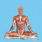 6个动作高效练出六块腹肌 练腹肌最好的方法