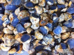 翡翠和玉哪个更有价值 翡翠和玉髓的区别