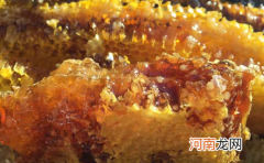 正宗的蜂蜜是什么颜色的