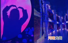 玉渊潭灯光秀哪个门进2021