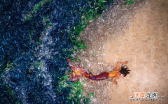 海洋污染对海洋生物有多大的伤害 海洋垃圾对海洋生物的危害