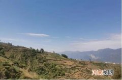 大专最容易考的公务员 三支一扶容易考上吗