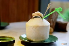 椰子和椰青哪个好喝 椰青和椰子有什么区别