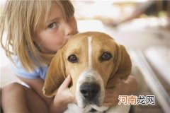 狗的年龄怎么算 狗的一岁等于人的几岁年龄怎么计算