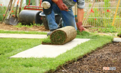常用人造草坪的单平米造价是多少 草坪价格是多少钱一平方