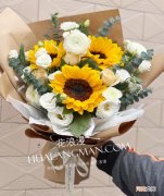 适合送给老师的6种惊喜花朵 送老师什么礼物最实用更适合