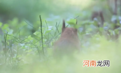 2022每年什么节气天气转暖