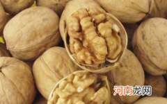 文玩核桃和吃的核桃一样吗