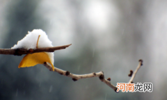 2022年小雪是几号