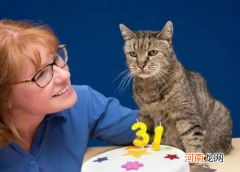 寿命最长的10种猫 猫最多能活多少年