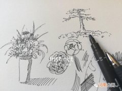 素描插花技巧