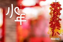 小年的诗句精选