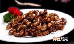 油炸知了的功效与作用