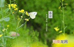 立春和春分的区别是什么