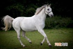 露马脚和哪位古人有关