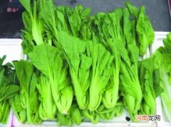 腌制芥菜怎么做