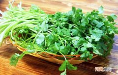 芫荽的好处