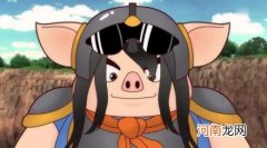 属猪的人2021穿衣颜色搭配技巧