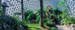 沈阳市植物园游玩攻略 沈阳市植物园介绍