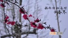 倒春寒冷出来的几种病需提前注意