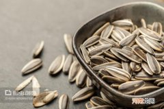 嗑瓜子的经典语录