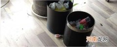 费灯管在垃圾分类中属于